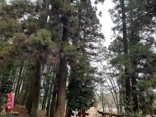 大宮温泉神社(栃木県)