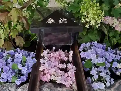 滋賀県護国神社の手水舎