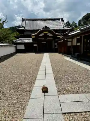 金剛寺(大阪府)
