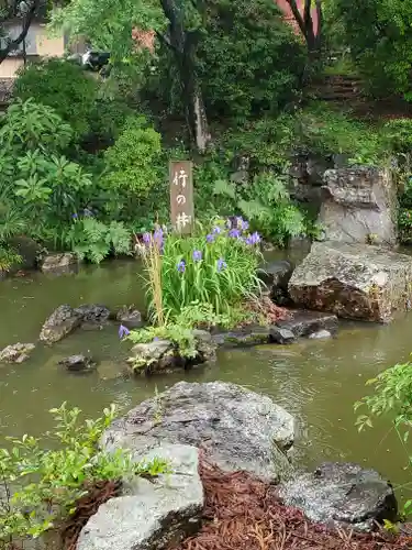 高平寺の庭園