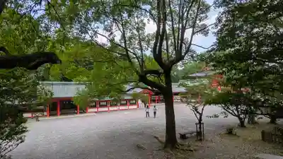 近江神宮(滋賀県)