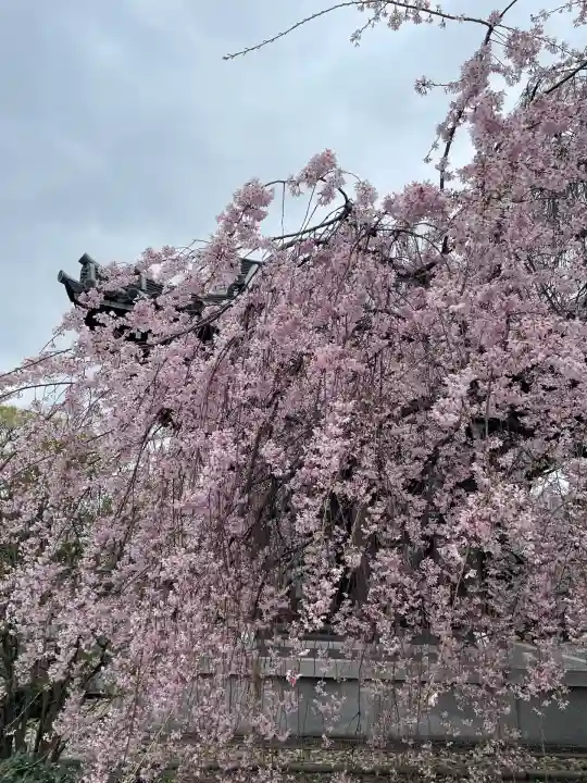 吉祥寺(東京都)