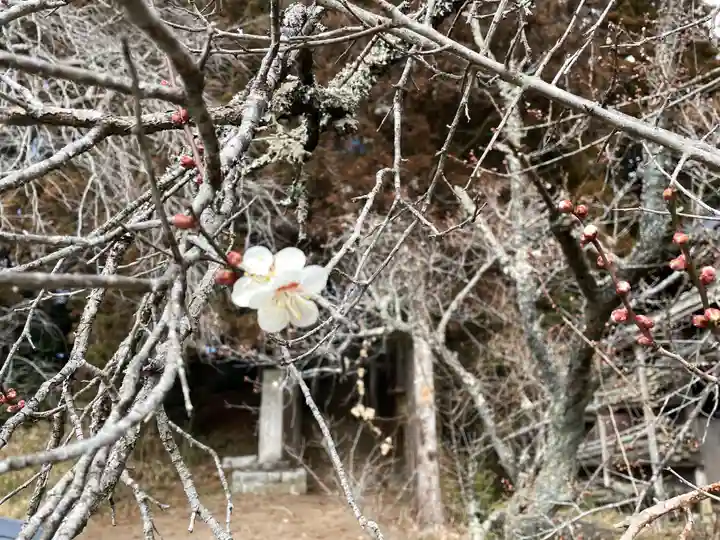 北野神社(福島県)