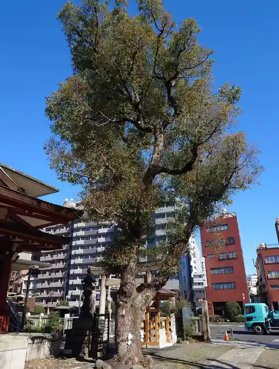 大森神社(東京都)