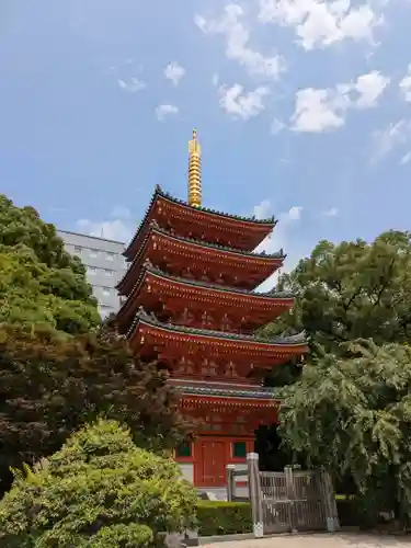 東長寺の塔