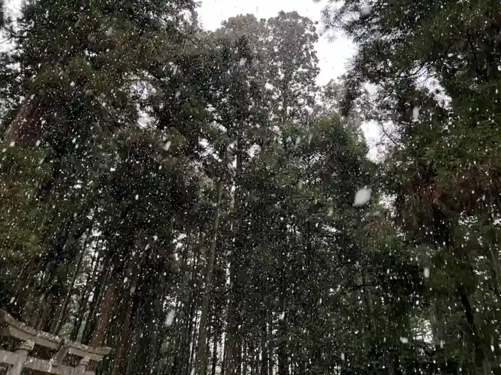 大宮温泉神社(栃木県)