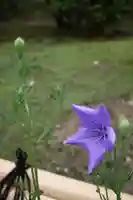 智積院(京都府)