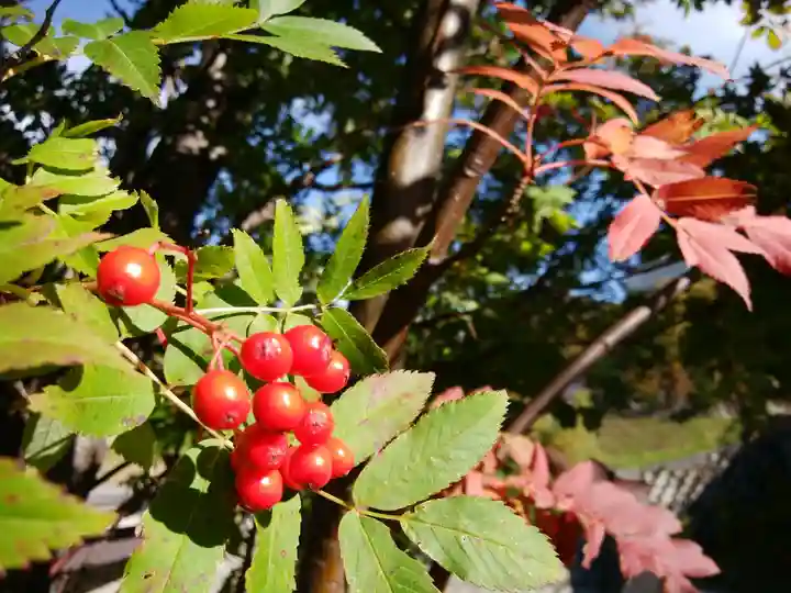 大雪山層雲峡神社(北海道)