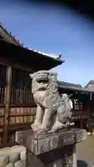 太部神社の狛犬