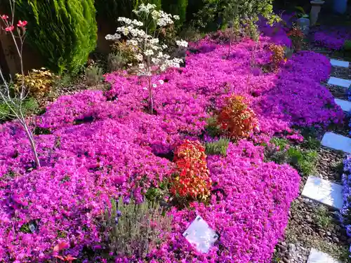 寿量山　速成寺の自然