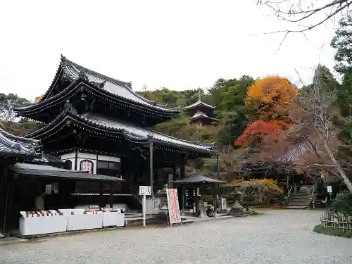 今熊野観音寺の本殿・本堂