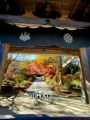 陽林寺の山門・神門