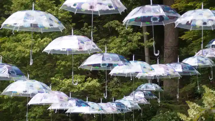 柳谷観音 楊谷寺(京都府)