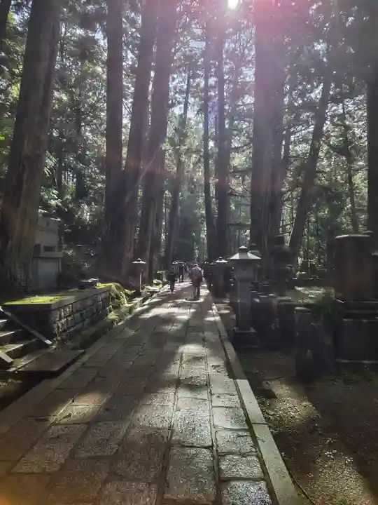 高野山金剛峯寺奥の院(和歌山県)