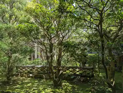 龍安寺(京都府)