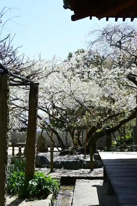 大宝寺(愛媛県)