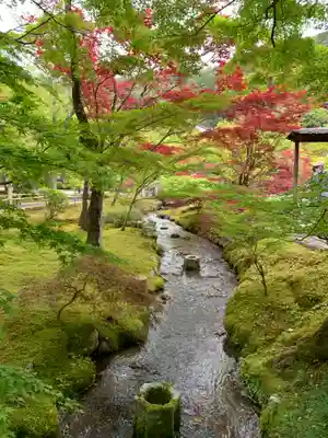 禅林寺(永観堂)(京都府)