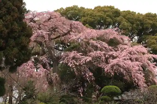 三島八幡神社の庭園