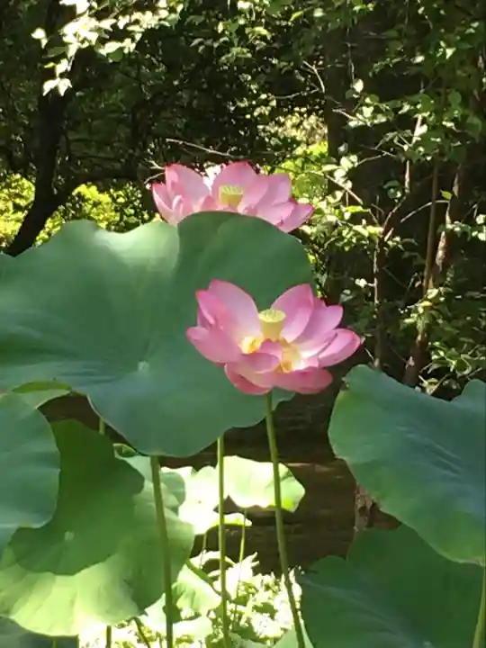 廣隆寺(京都府)