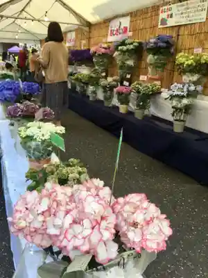 長國寺のお祭り