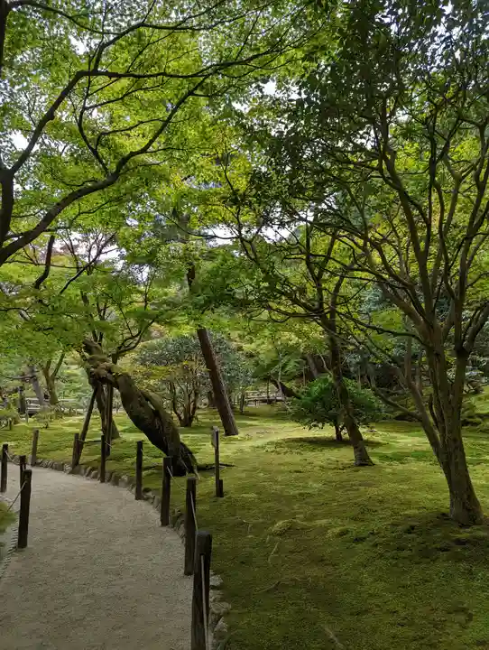 慈照寺(慈照禅寺・銀閣寺)(京都府)