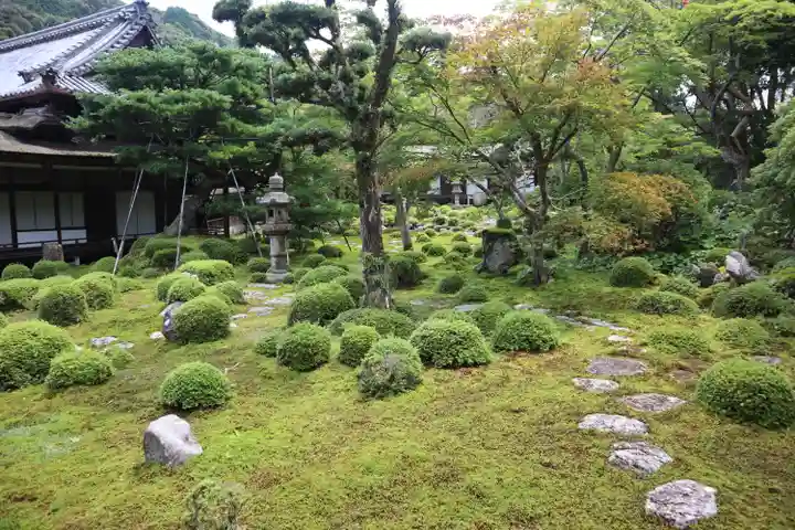 金剛寺(大阪府)