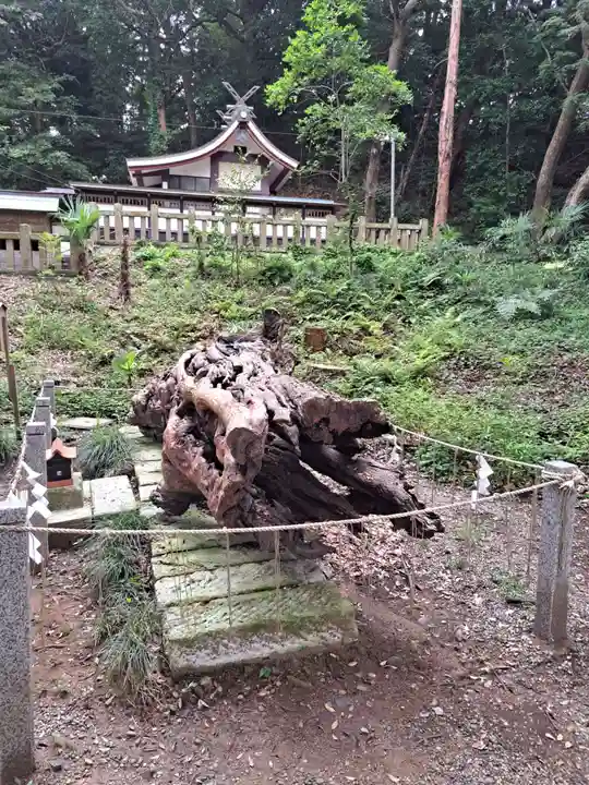 泉神社(茨城県)