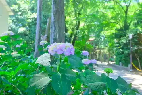 仙波東照宮(埼玉県)