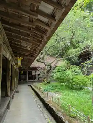 吉野水分神社(吉野町)の本殿・本堂