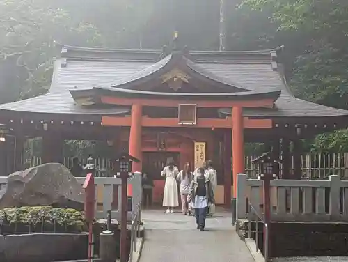 箱根神社の本殿・本堂