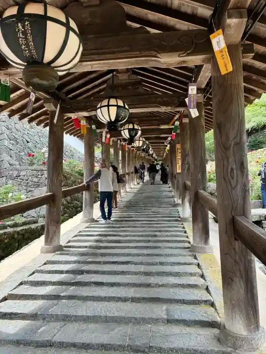 長谷寺の{uncategorized: "未分類", other: "その他", undefined: "問題あり", building: "その他建物", grave: "お墓", sacred_gate: "鳥居", guardian: "狛犬", statue: "像", buddha: "仏像", history: "歴史", nature: "自然", garden: "庭園", animal: "動物", pagoda: "塔", temizu: "手水舎", mountain_gate: "山門・神門", sanctuary: "本殿・本堂", subordinate: "末社・摂社", art: "芸術", scenery: "景色", jizo: "地蔵", ema: "絵馬", goshuin: "御朱印", omikuji: "おみくじ", items: "授与品その他", amulet: "お守り", goshuincho: "御朱印帳", eats: "食事", festival: "お祭り", votive_dance: "神楽", shichigosan: "七五三参", wedding: "結婚式", experience: "体験その他", initially: "初詣", around: "周辺", anti_infection: "感染症対策"}