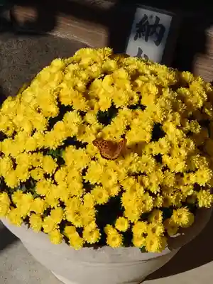 今宮坊(埼玉県)