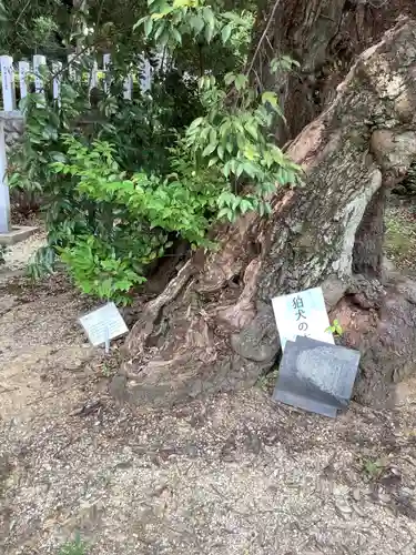 松原神社の自然