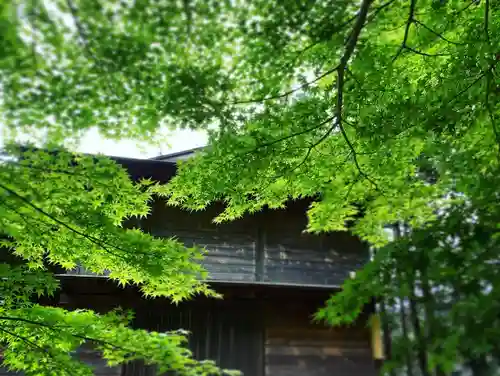滑川神社 - 仕事と子どもの守り神の自然
