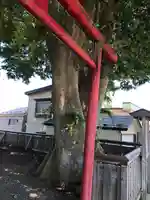 二子石稲荷神社の鳥居