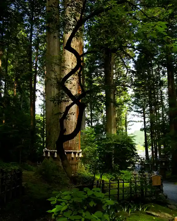 御岩神社(茨城県)