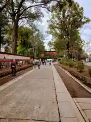 武蔵一宮氷川神社(埼玉県)