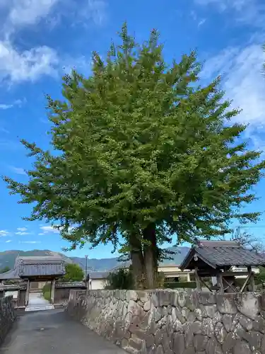 涌金山　養泉寺(三重県)
