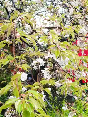 弘明寺の{uncategorized: "未分類", other: "その他", undefined: "問題あり", building: "その他建物", grave: "お墓", sacred_gate: "鳥居", guardian: "狛犬", statue: "像", buddha: "仏像", history: "歴史", nature: "自然", garden: "庭園", animal: "動物", pagoda: "塔", temizu: "手水舎", mountain_gate: "山門・神門", sanctuary: "本殿・本堂", subordinate: "末社・摂社", art: "芸術", scenery: "景色", jizo: "地蔵", ema: "絵馬", goshuin: "御朱印", omikuji: "おみくじ", items: "授与品その他", amulet: "お守り", goshuincho: "御朱印帳", eats: "食事", festival: "お祭り", votive_dance: "神楽", shichigosan: "七五三参", wedding: "結婚式", experience: "体験その他", initially: "初詣", around: "周辺", anti_infection: "感染症対策"}