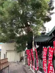 金山神社(愛知県)