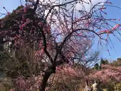 菅原神社(鹿児島県)