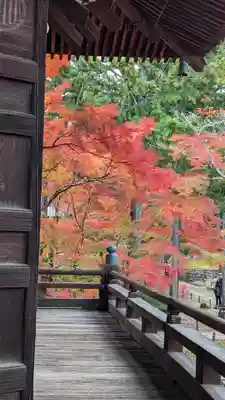 真正極楽寺(真如堂)(京都府)