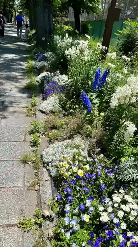 住吉大社(大阪府)
