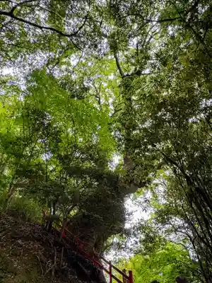 新田神社(鹿児島県)