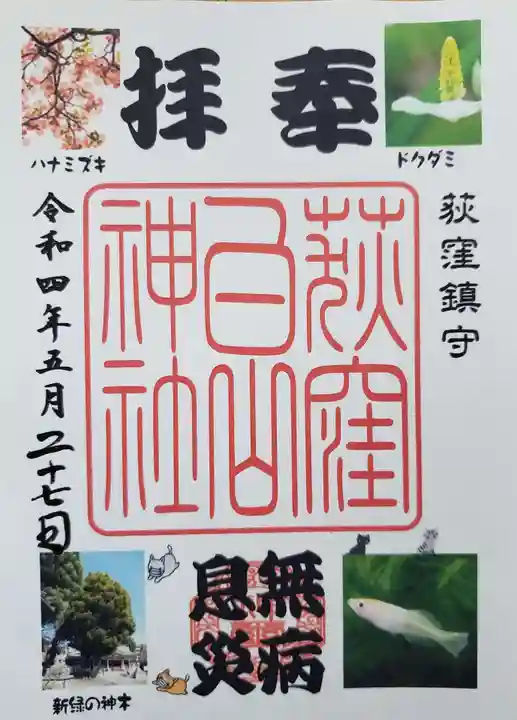 荻窪白山神社の御朱印