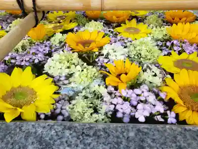 高円寺氷川神社の手水舎