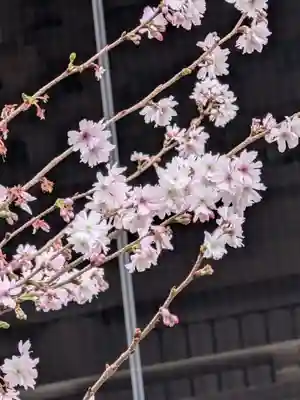 妙法寺(東京都)