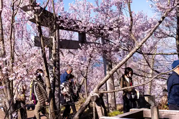 新城藤原神社の鳥居