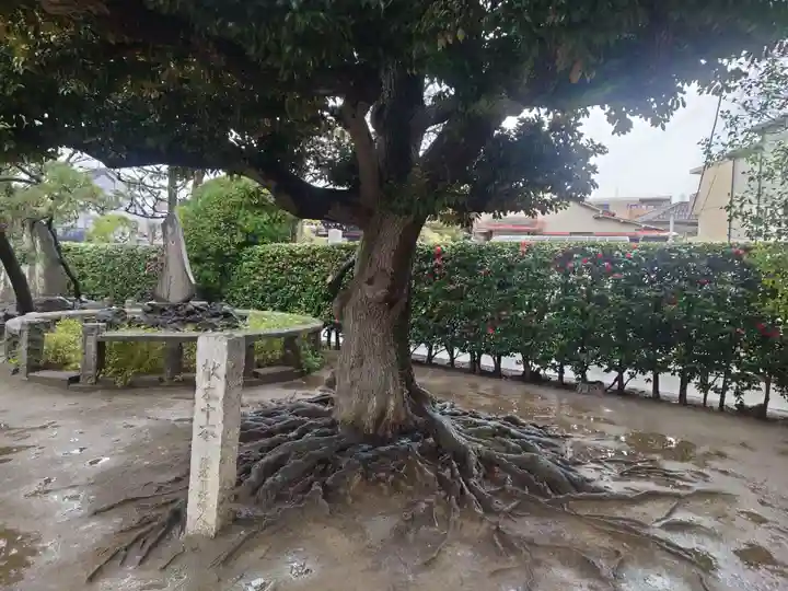 薭田神社(東京都)
