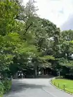 阿佐ヶ谷神明宮(東京都)